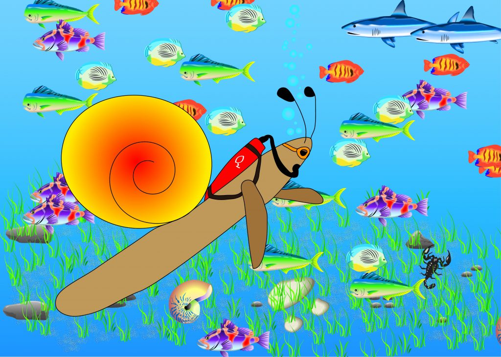 Taucherschnecke: Illustration einer Schnecke, die im Meer taucht.
