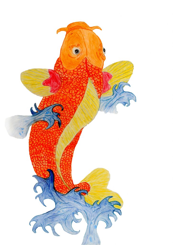 Koi-Fisch: Buntstift-Zeichnung eines Koi-Fisch, der aus dem Wasser springt